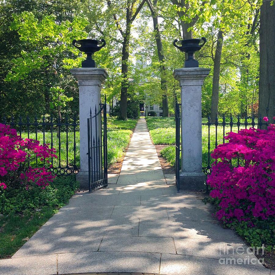 Spring Path To The Mausoleum Photograph by Debbie Fenelon