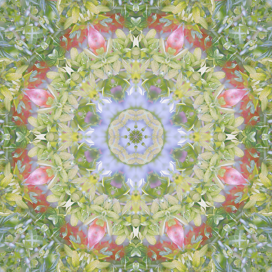 Spring Pattern Circle Digital Art by Roy Pedersen