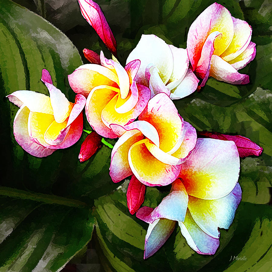 Spring Plumeria Digital Art by J Marielle