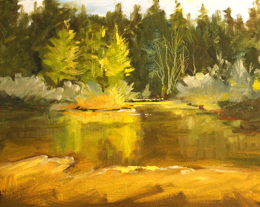 Spring Pond Landscape Painting by Nancy Merkle