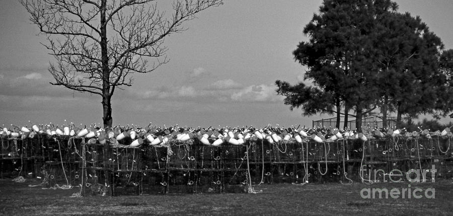 Spring Prep In Black And White Photograph