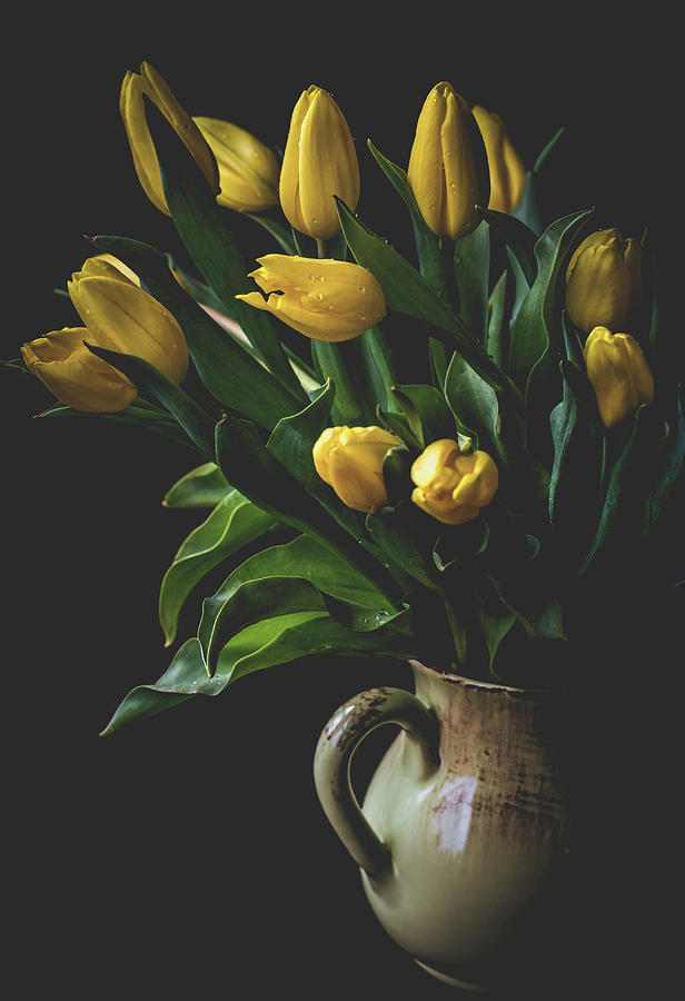 Spring Promises Photograph by Irena Kazatsker | Fine Art America