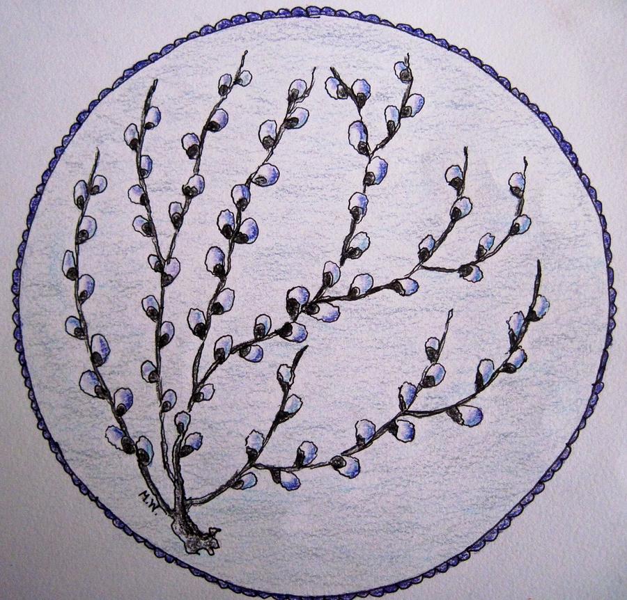 Spring Pussywillows Drawing by Megan Walsh