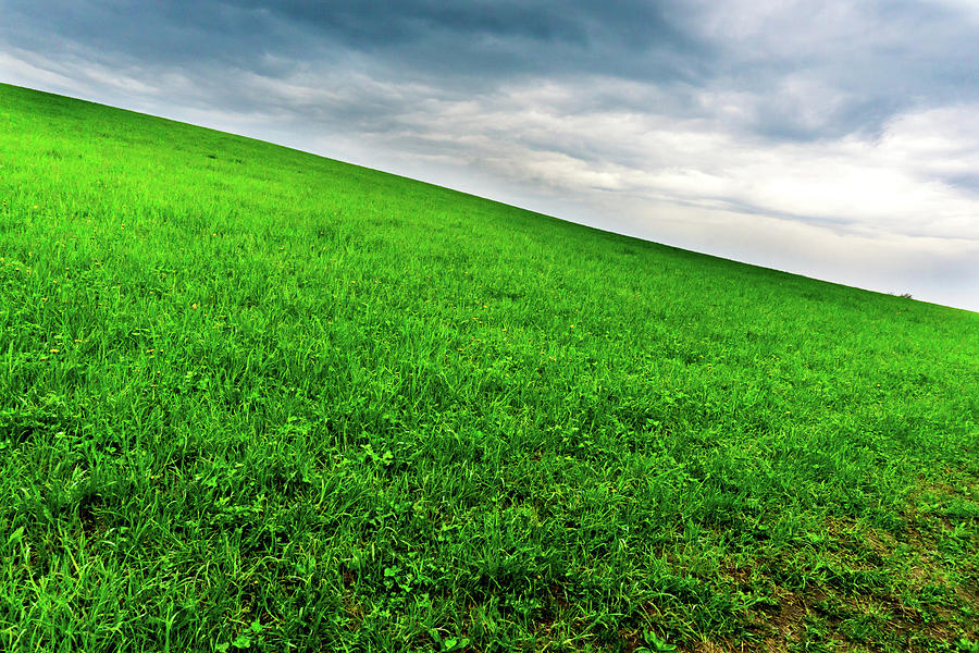 Spring Rain by Carl Simmerman Spring Rain by Carl Simmerman