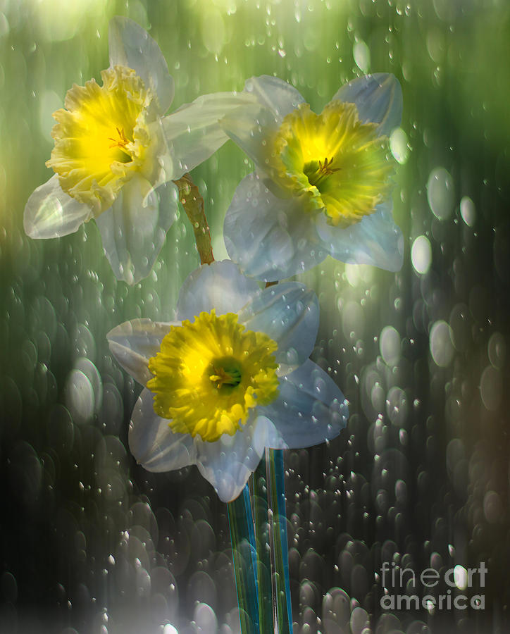 Spring Rain Digital Art by Nick Eagles