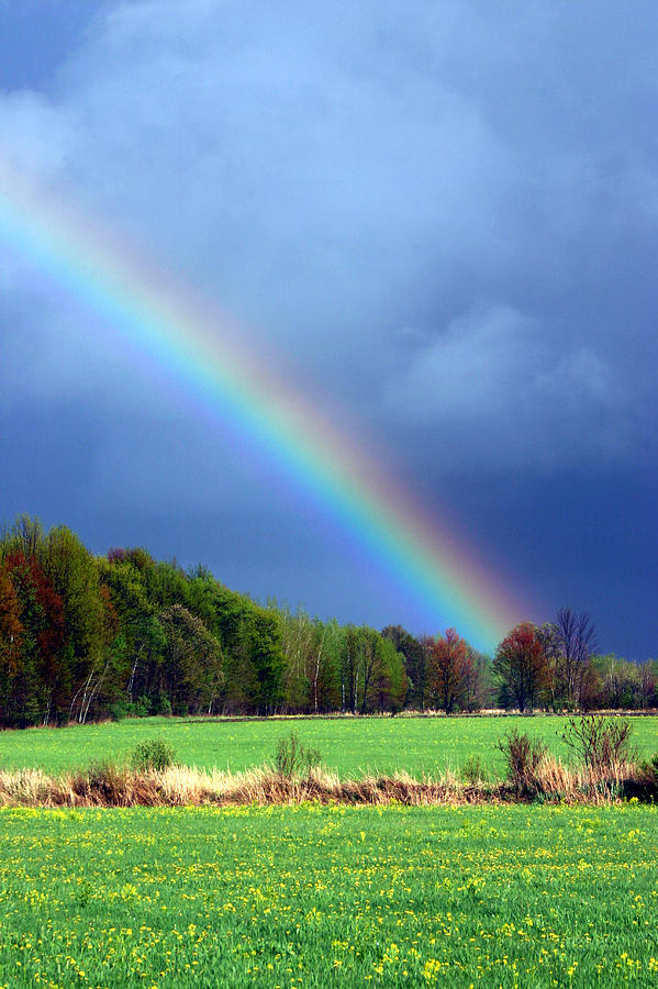 Spring Rainbow 2 Photograph by Brook Burling