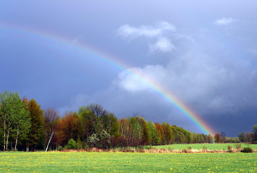 Spring Rainbow Photograph by Brook Burling