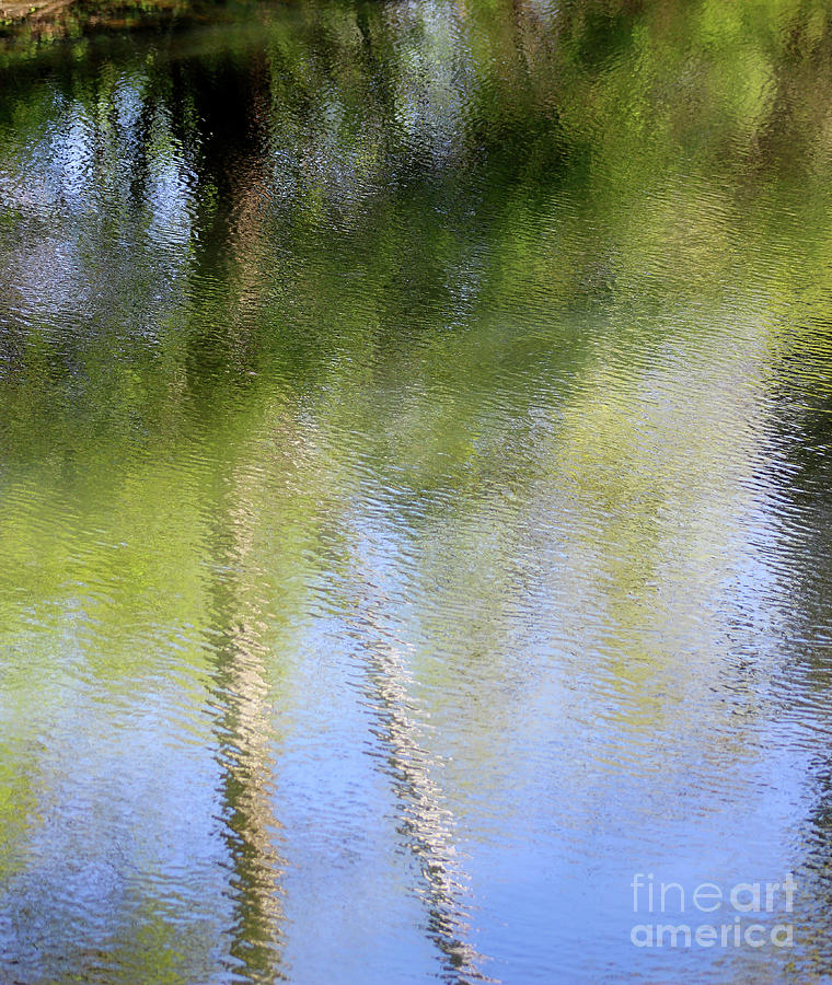 Spring Reflection Abstract Photograph by Karen Adams