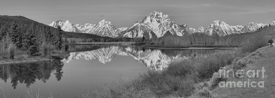 Spring Reflections At Oxbow Bend Black And White Photograph by Adam Jewell