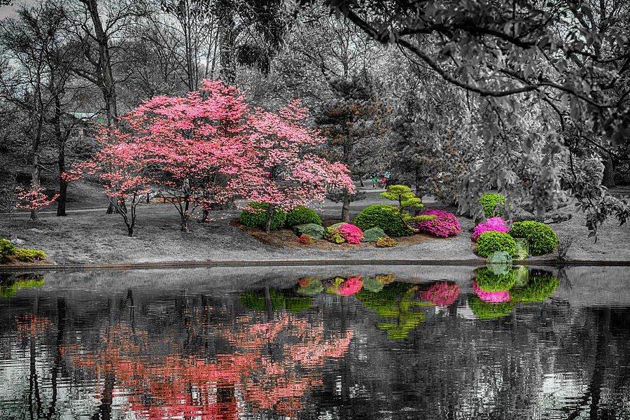 Spring Reflections at the Garden 7R2_DSC6595_04172017 Photograph by Greg Kluempers