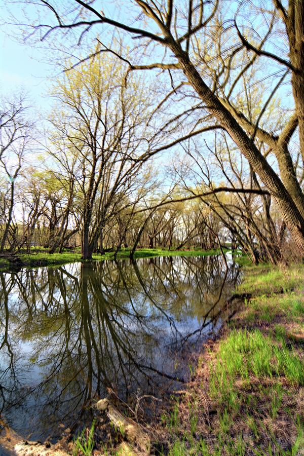 Spring Reflections Photograph by Bonfire Photography