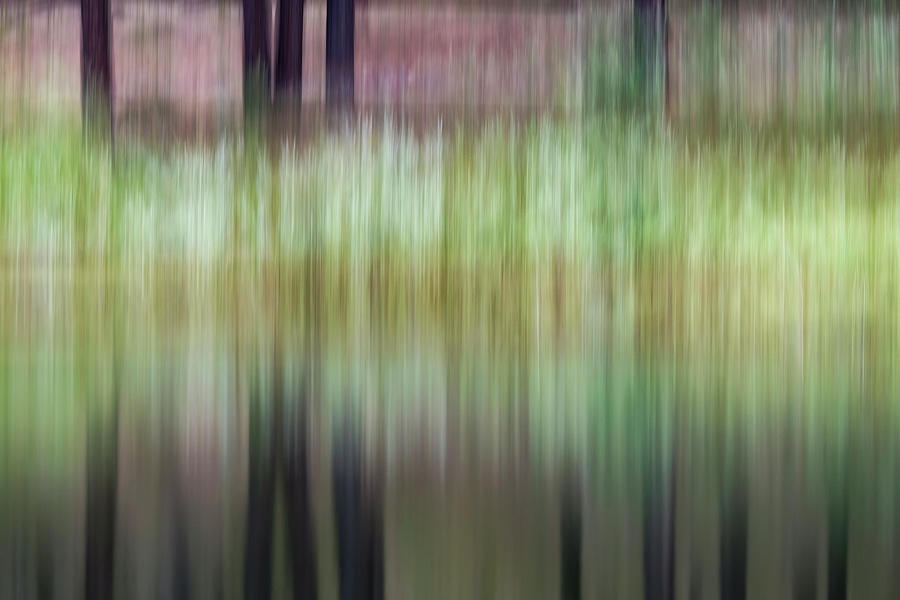 Spring Reflections Photograph by Deborah Hughes