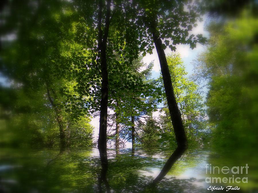 Spring Reflections Photograph by Elfriede Fulda