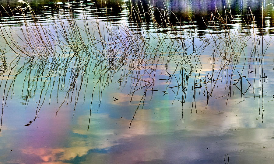 Spring Reflections Photograph by HelenaP Art