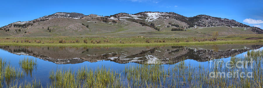 Spring Reflections In Slough Creek Panorama Photograph by Adam Jewell
