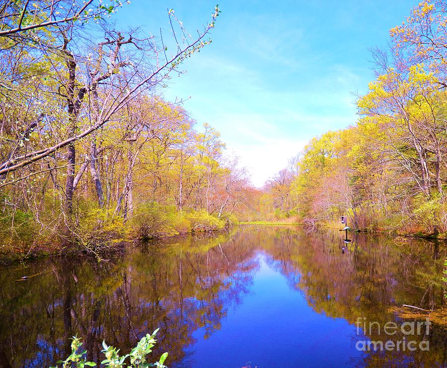 Spring Reflections in the Park Photograph by Stacie Siemsen