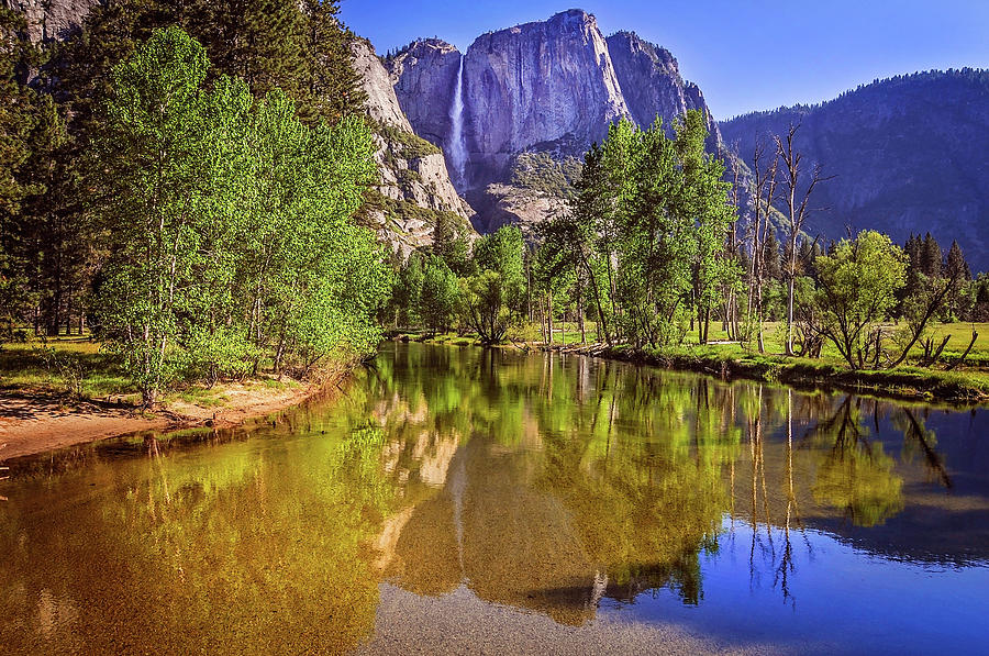 Spring Reflections of Yosemite Falls Photograph by Lynn Bauer