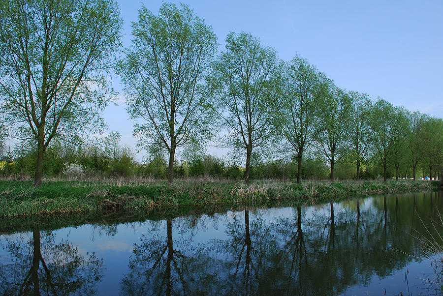 Spring Reflections Photograph by Terence Davis