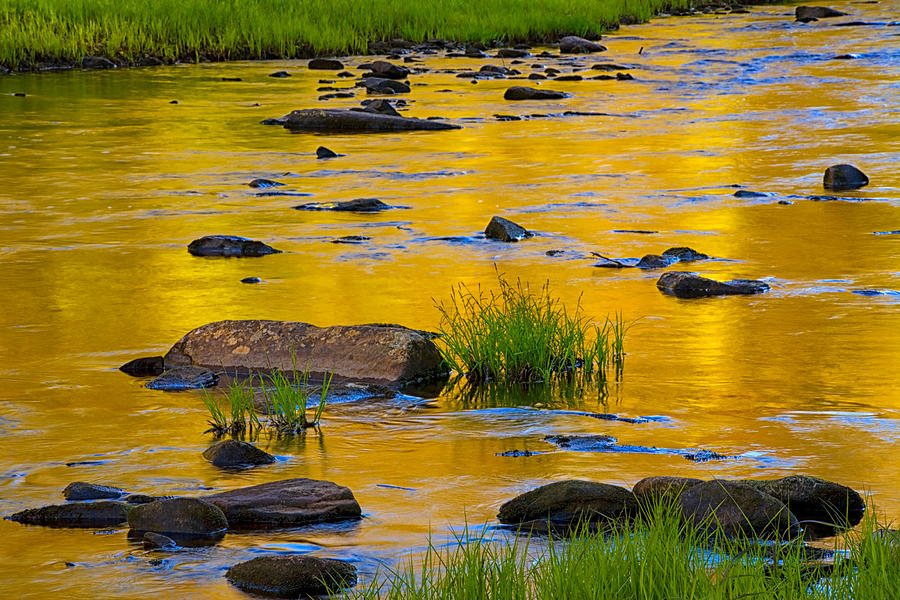 Spring River Colors Photograph by Irwin Barrett
