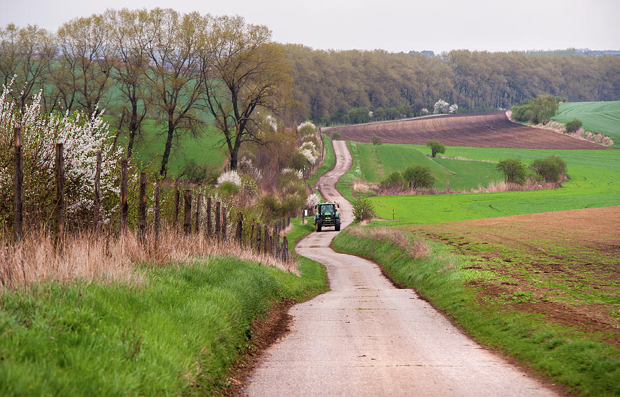 Spring Road. South Moravia Photograph by Jenny Rainbow