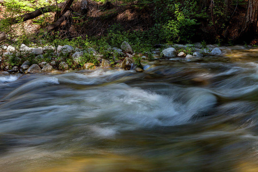 Spring Runoff Photograph by Rick Pisio