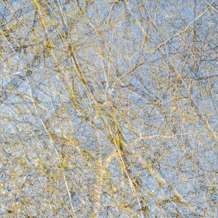 Spring Season - Inspired by Jackson Pollock Photograph by Shankar Adiseshan