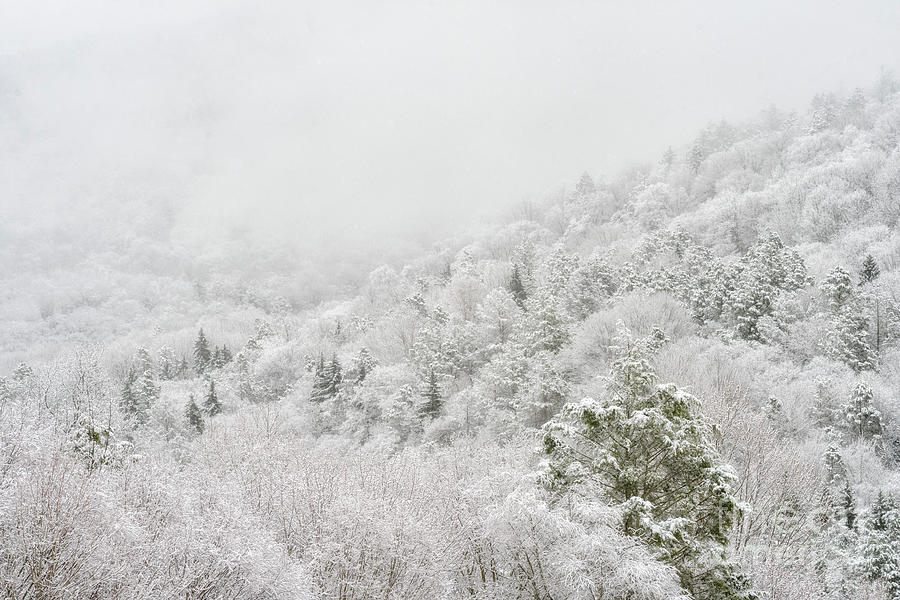 Spring Snow and Fog Highlands Photograph by Thomas R Fletcher