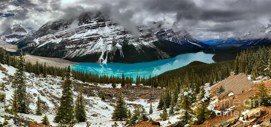Spring Snow Dusting At Peyto Photograph by Adam Jewell