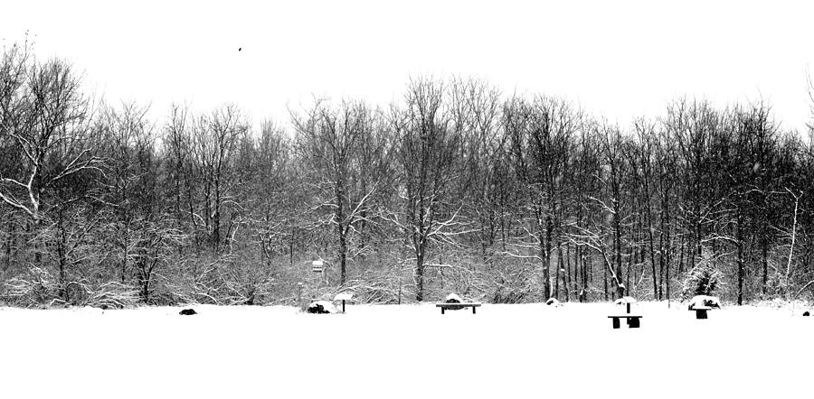 Black And White Photograph - Spring Snow by Karen Majkrzak