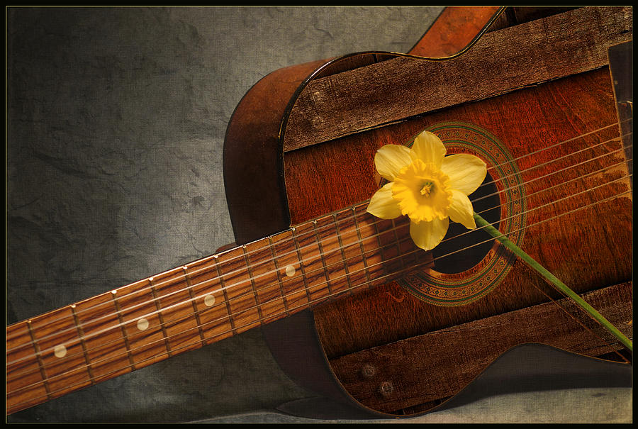 Spring Song Photograph by John Anderson