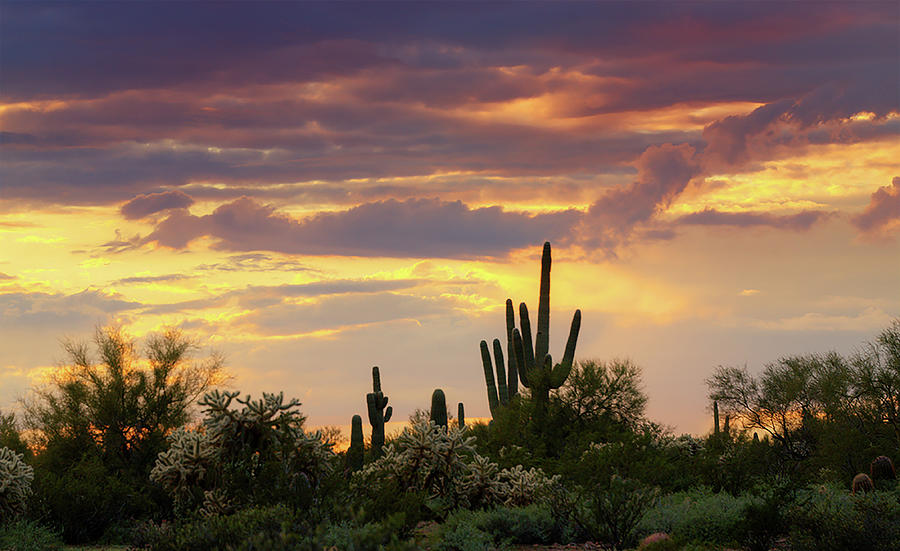 Spring Sonoran Sunset  Photograph by Saija Lehtonen
