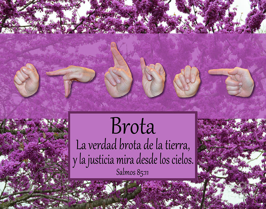 Christian Photograph - Spring Spanish by Masters Hand Collection Christian Photograph - Spring Spanish by Masters Hand Collection