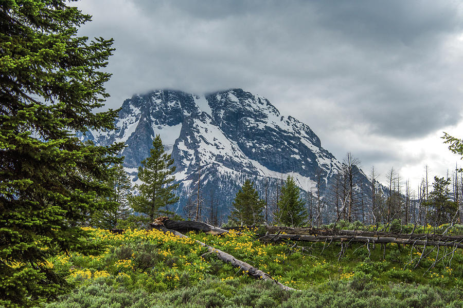 Spring Storm Over Mount Moran Photograph by Yeates Photography