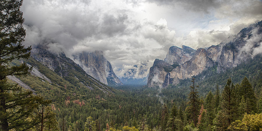 Spring Storm Yosemite Photograph by Harold Rau