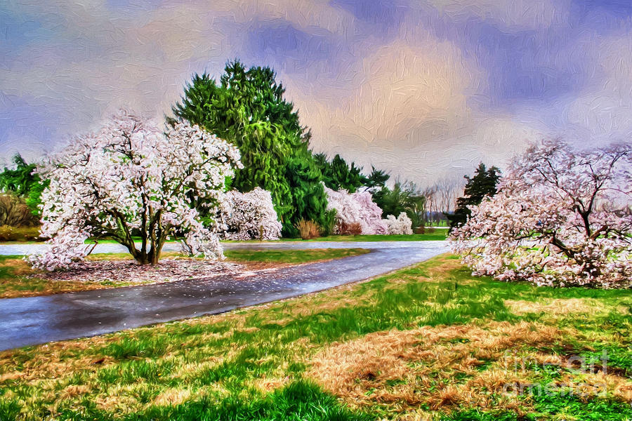 Magnolia Movie Photograph - Spring Storms by Darren Fisher