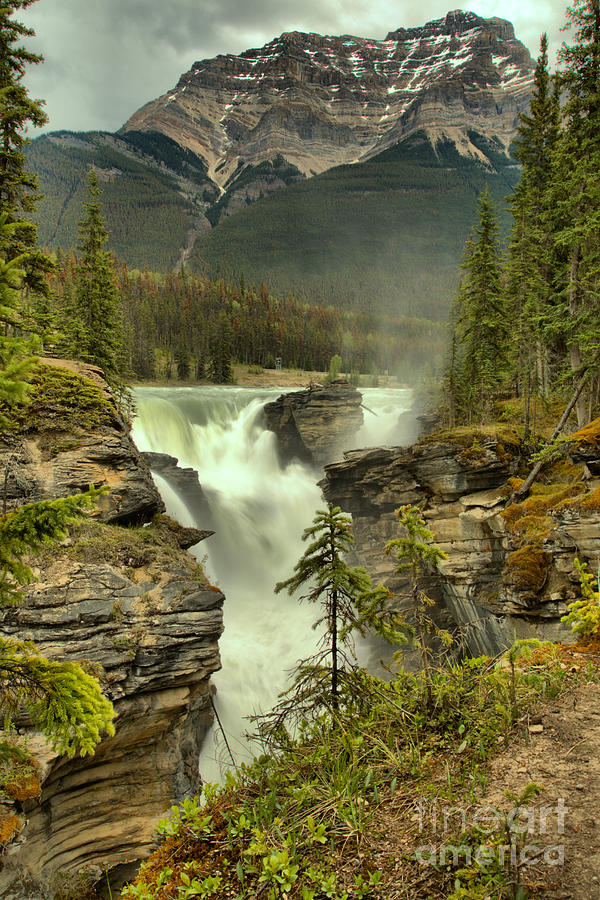 Spring Storms Over Athabasca Falls Portrait Photograph by Adam Jewell