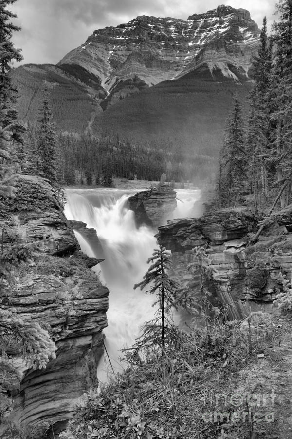 Spring Storms Over Athabasca Falls Portrait Black And White Photograph by Adam Jewell