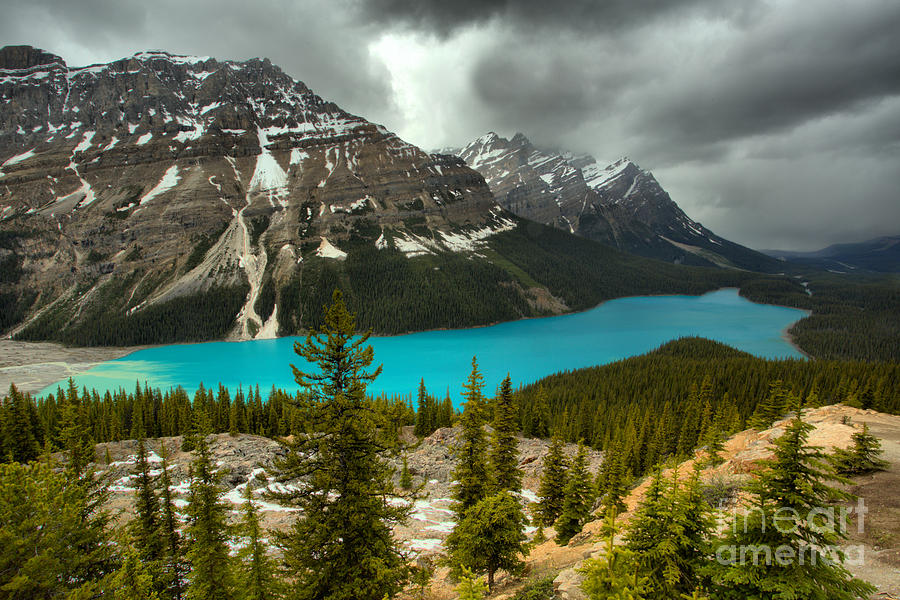 Spring Storms Over Peyto Lake Photograph by Adam Jewell