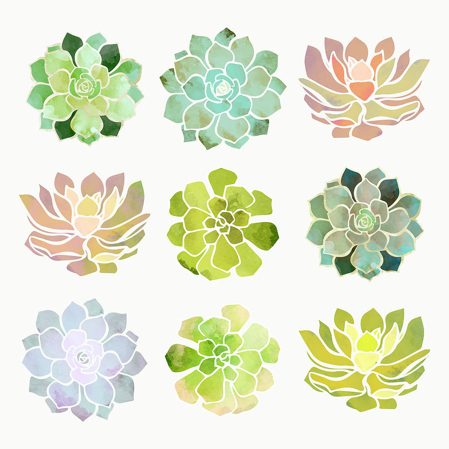Spring Succulents Digital Art by Spacefrog Designs