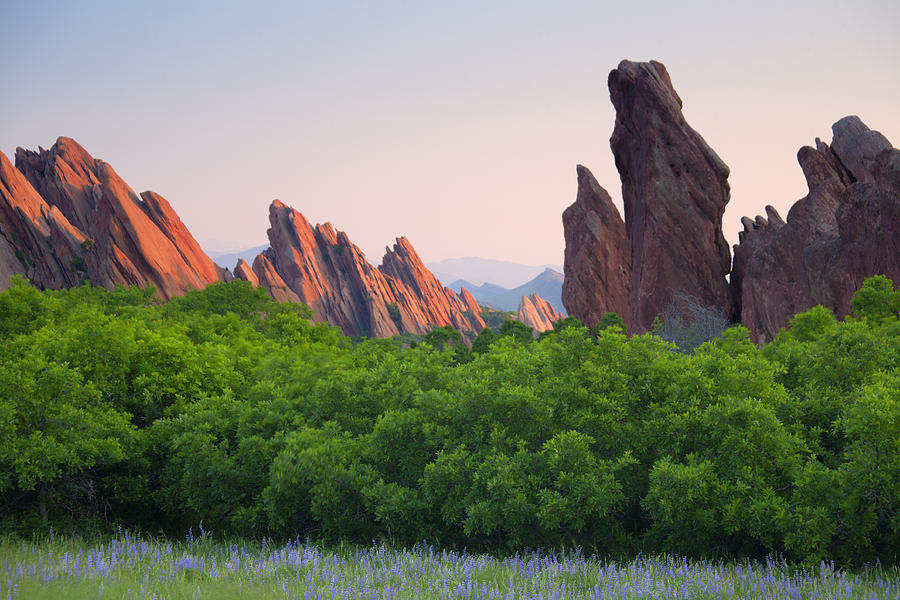 Spring Sunrise At Roxborough Photograph by Morris McClung
