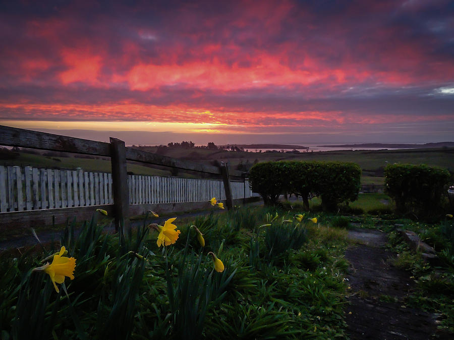 Spring sunrise in Ireland Photograph by James Truett