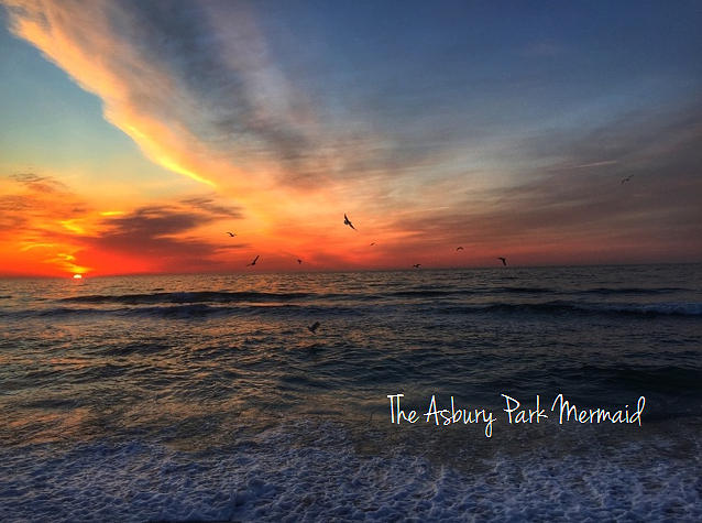 Bird Photograph - Spring Sunrise over the Asbury Park Waterfront 2015 by The Asbury Park Mermaid