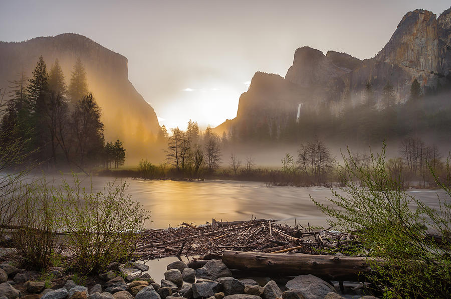 Spring Sunrise Valley View Yosemite National Park  Photograph by Scott McGuire