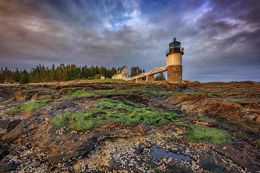 Forrest Gump Photograph - Spring Sunset at Marshall Point by Rick Berk