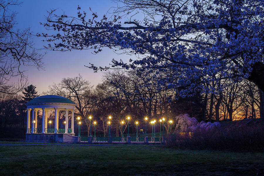 Spring Sunset at the park Photograph by Eddy Bernardo
