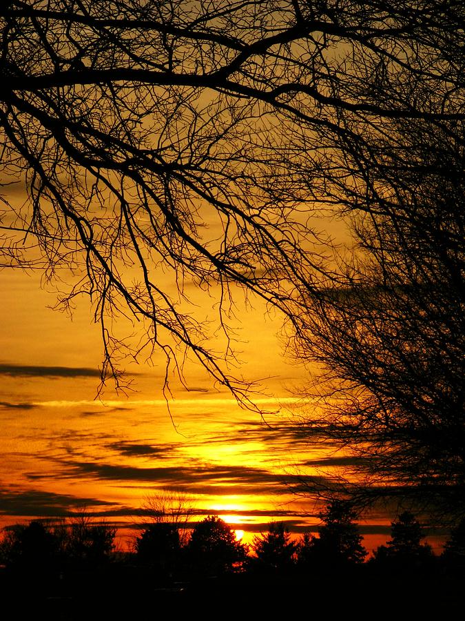 Spring Sunset Photograph by Joyce Kimble Smith