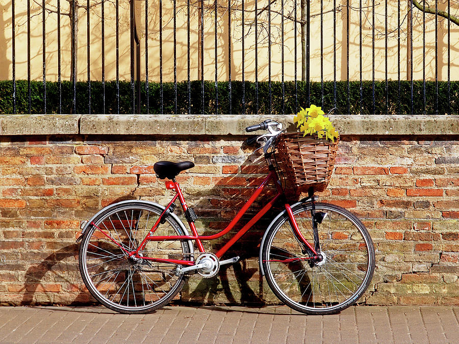 Spring Sunshine And Shadows - Bicycle in Cambridge Photograph by Gill Billington