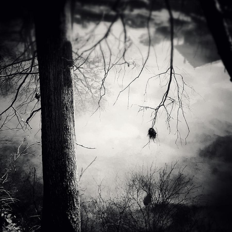 Black And White Photograph - Spring Symphony 11 by Tiina Anttila
