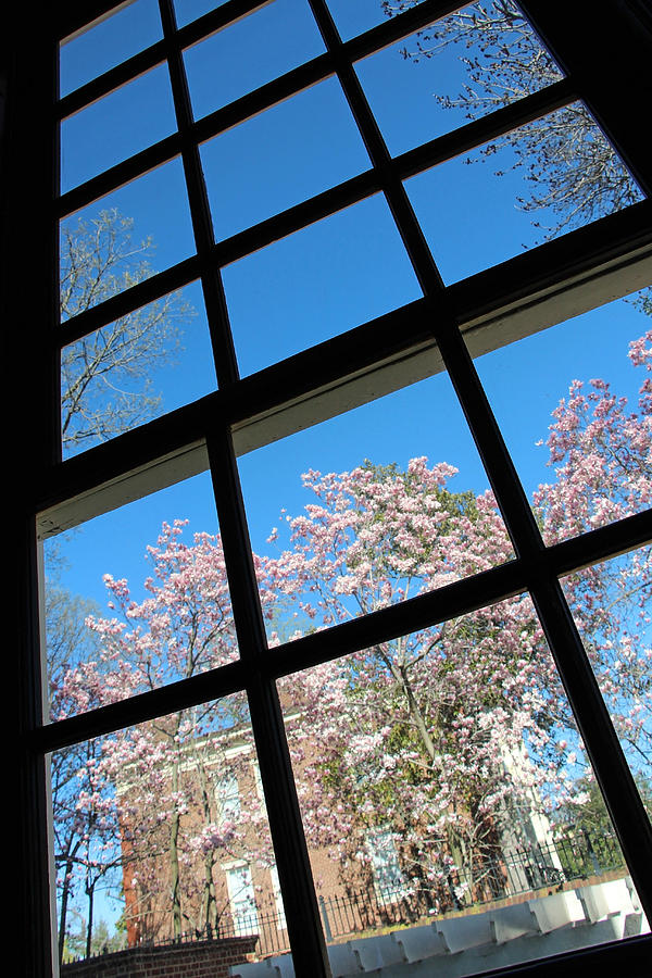 Spring Through A Window Photograph by Cora Wandel