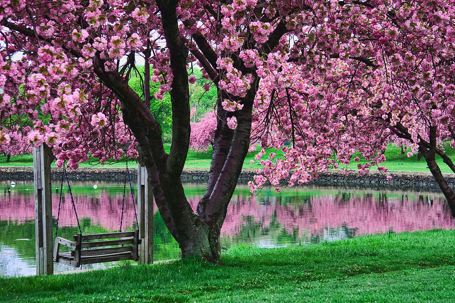 Spring Time 2 Photograph by June Marie Sobrito | Fine Art America